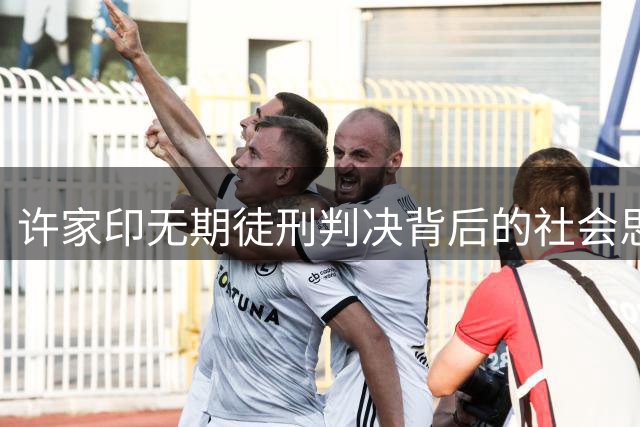许家印无期徒刑判决背后的社会思考